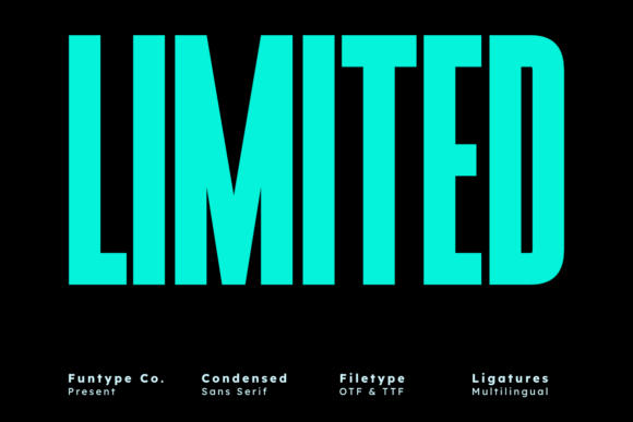 Limited: The Bold Sans Serif for High-Impact Typography